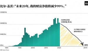 比尔盖茨：20年内捐出几乎全部财富