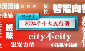 《咬文嚼字》发布年度十大流行语，“硬控”“班味”等上榜