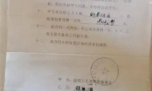 农户27年前承包的“荒沙地”变“天然牧草地”，因未退耕获刑6个月，当地回应