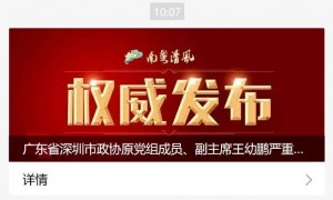 搞钱色交易！深圳市政协原党组成员、副主席王幼鹏被“双开”